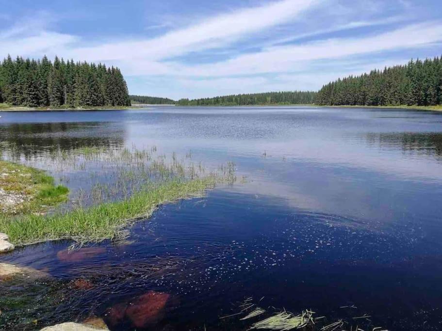 Ferienwohnungen Carlsfeld am Skihang Eibenstock Exterior foto